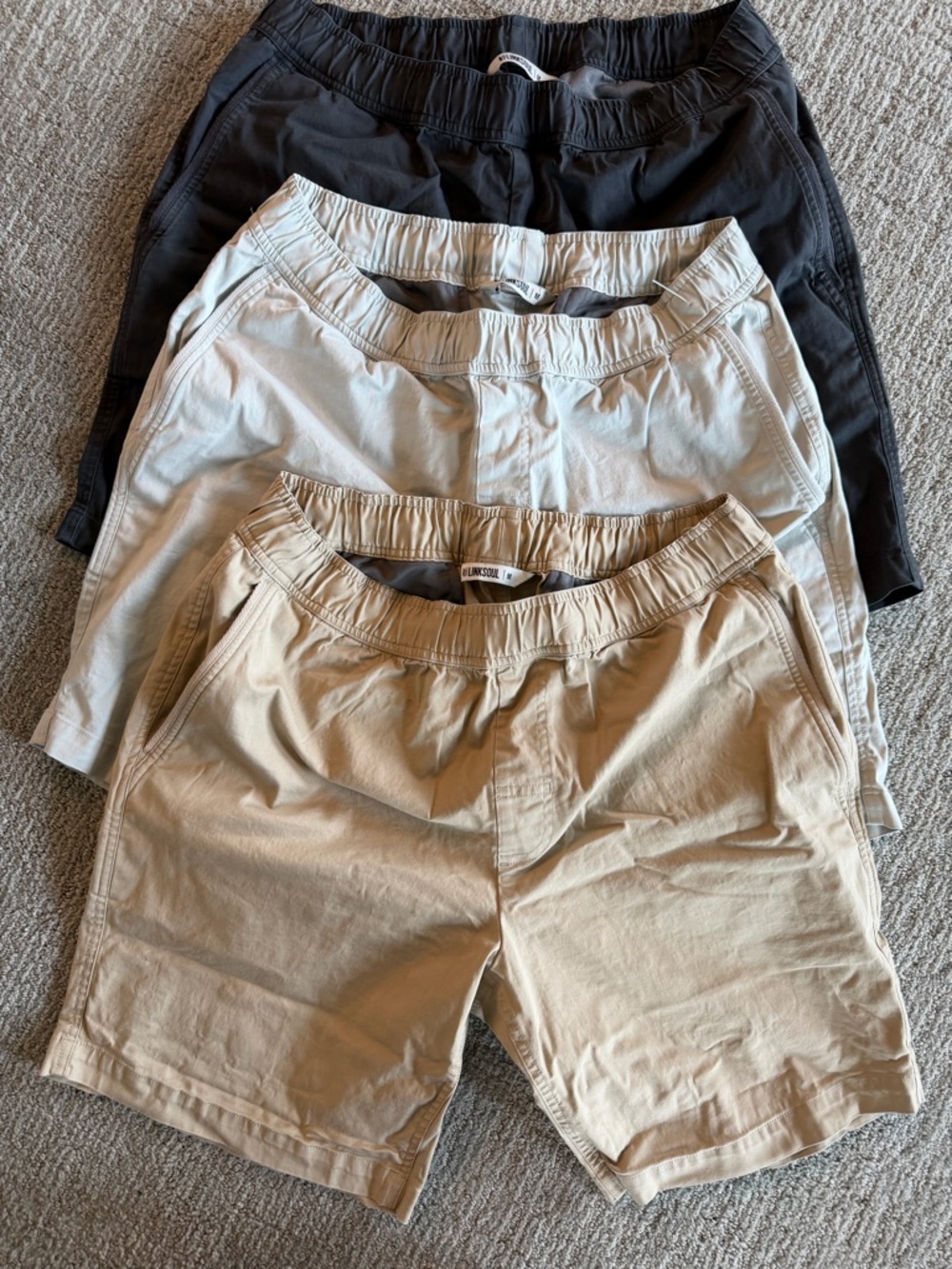 NWOT LOT of MENS MEDIUM LINKSOUL SHORTS